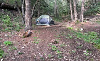Jayden C.'s photo of tent camping at Lower Karr Canyon Campground near Lincoln, NM