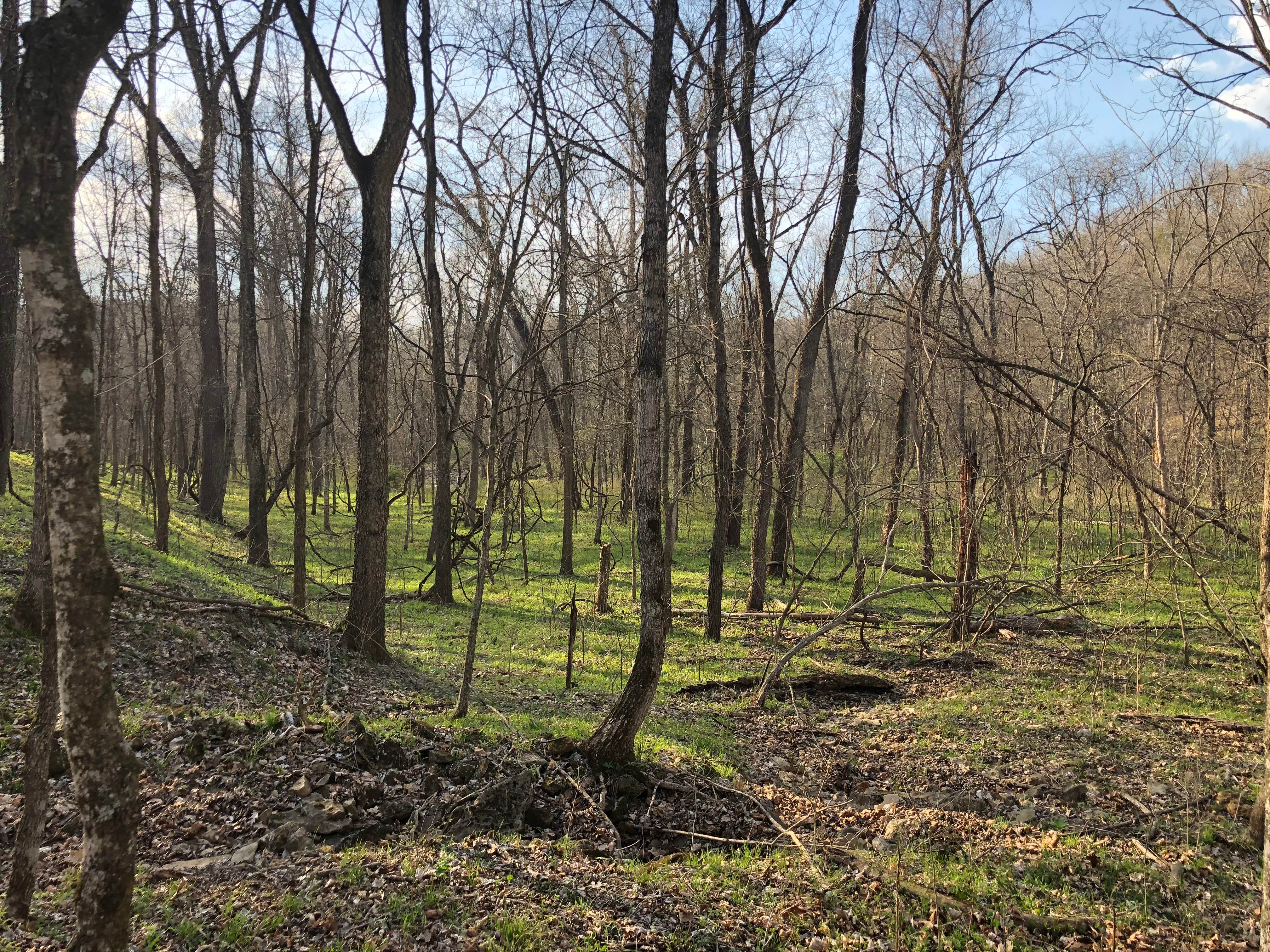 Camper-submitted photo at Dry Fork Recreation Area near Kingdom City, MO