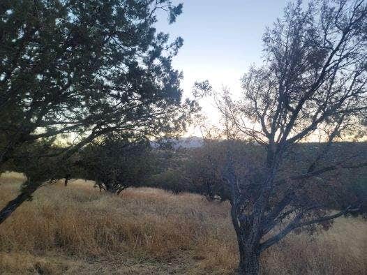 Camper-submitted photo at Rock Bluff Group Site near Sonoita, AZ