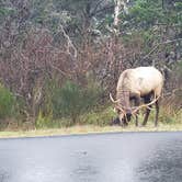 Review photo of Fort Stevens State Park Campground by Rich J., March 16, 2022