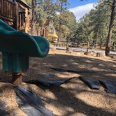 Review photo of Flagstaff KOA by Carrie , March 16, 2022