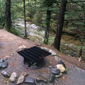 Review photo of Katahdin Stream Campground — Baxter State Park by Kristin S., July 11, 2018