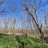 Review photo of Stephen Austin State Park by Matt , March 16, 2022