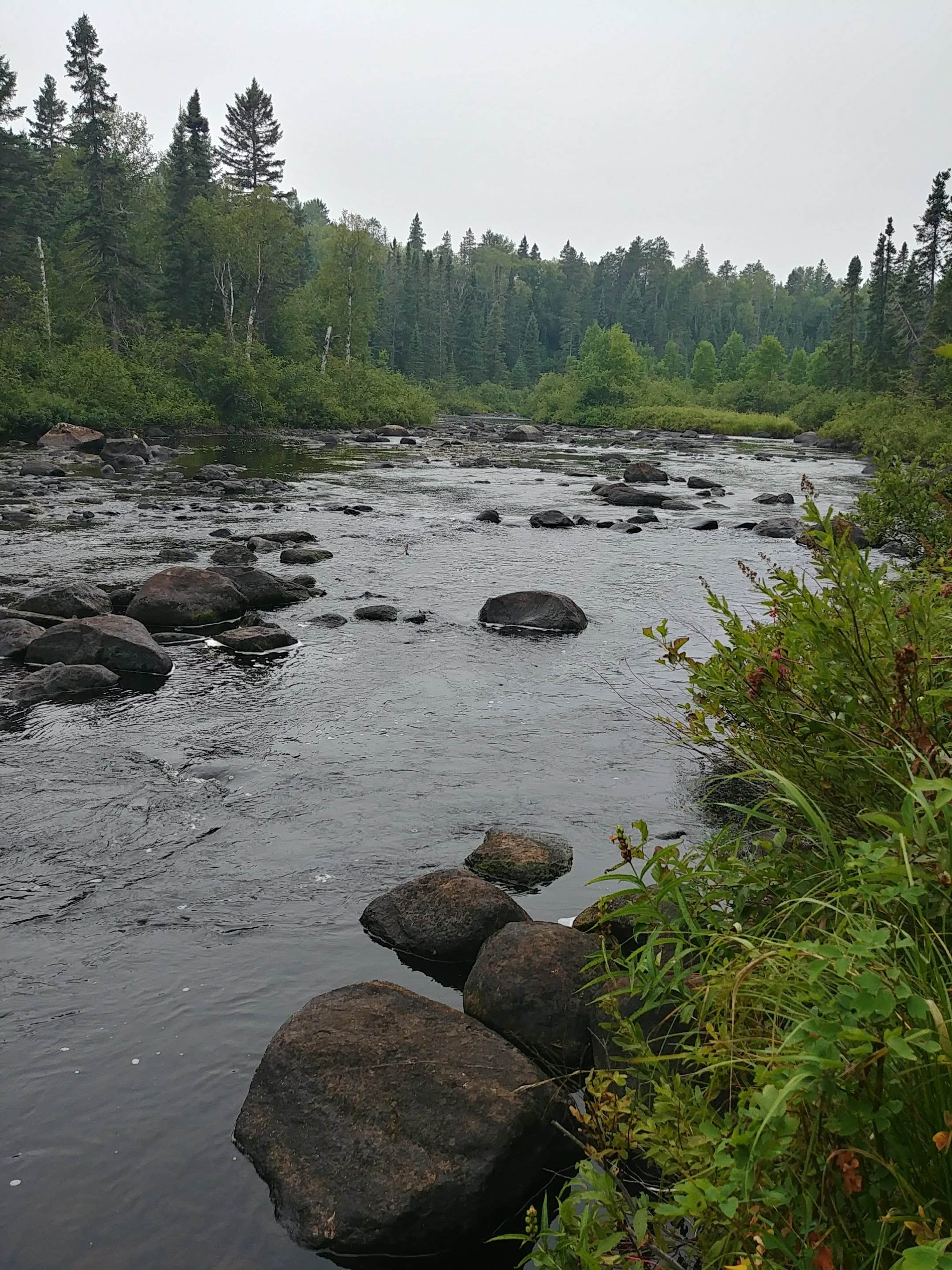 Camper-submitted photo at Temperance River Campground (Superior NF) near Lutsen, MN
