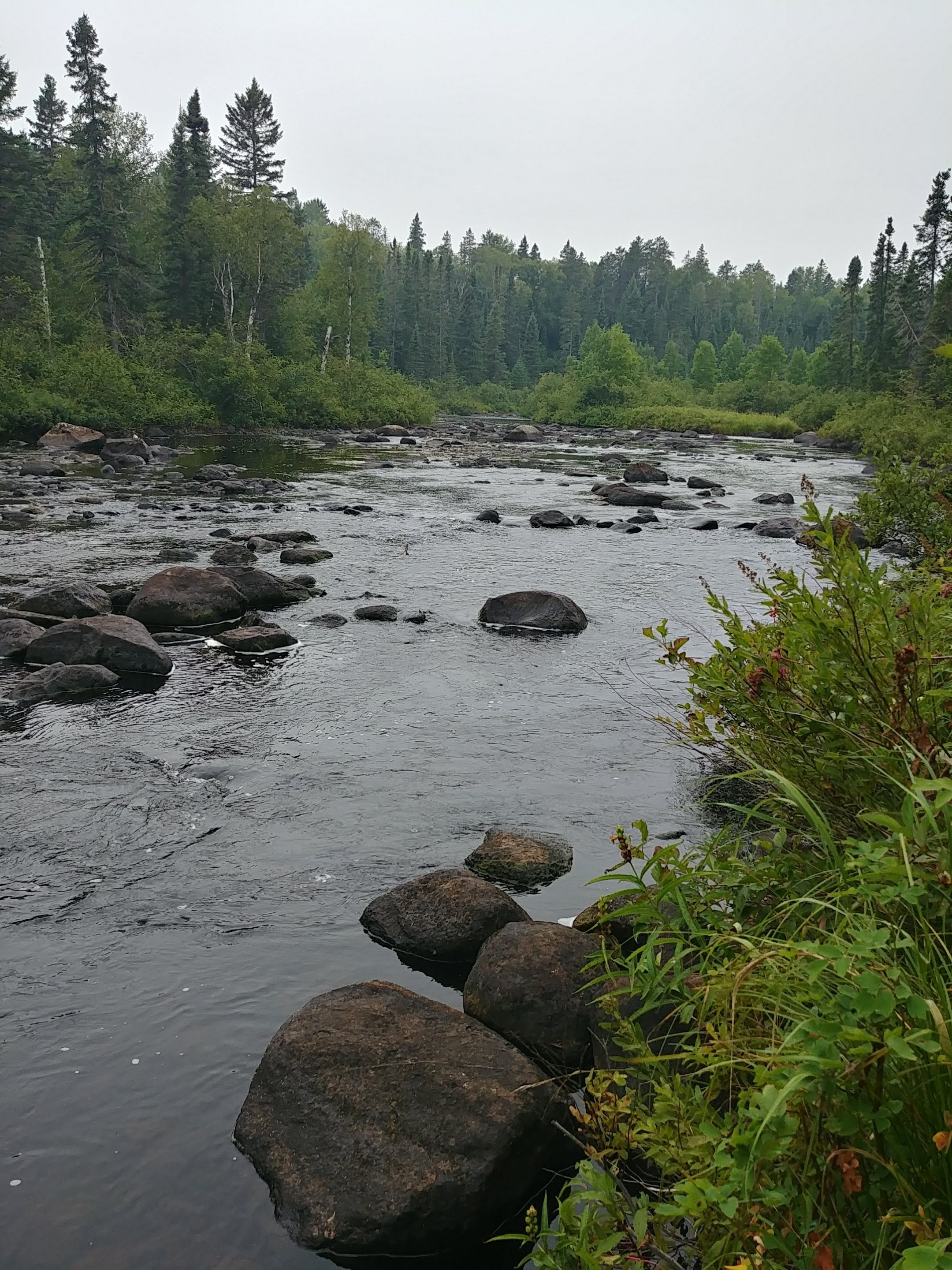 Camper submitted image from Temperance River Campground (Superior NF) - 2
