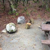 Review photo of Katahdin Stream Campground — Baxter State Park by Kristin S., July 11, 2018