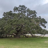 Review photo of Texana Park & Campground by EMRY H., March 16, 2022