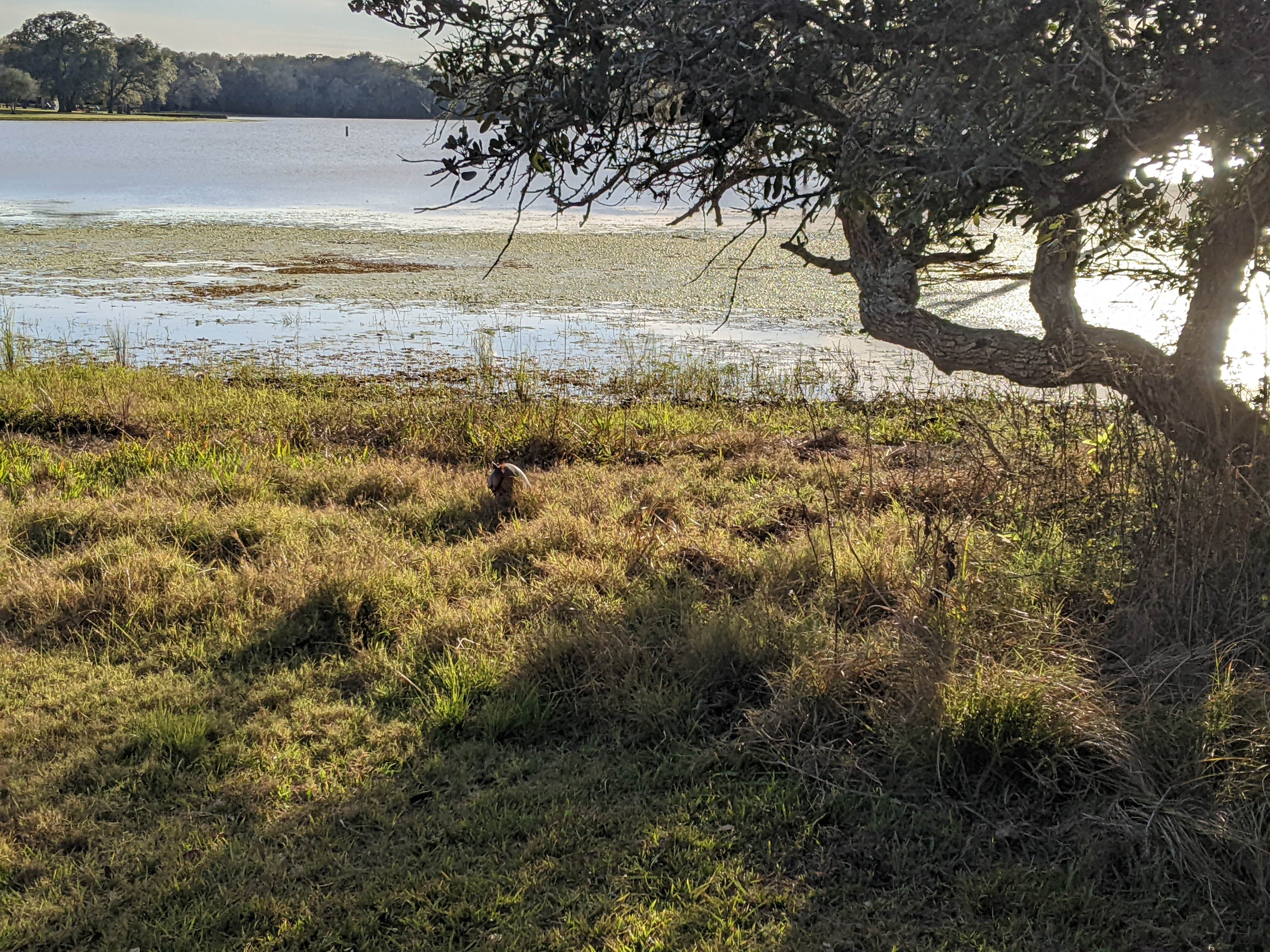 Camper-submitted photo at Texana Park & Campground near Edna, TX