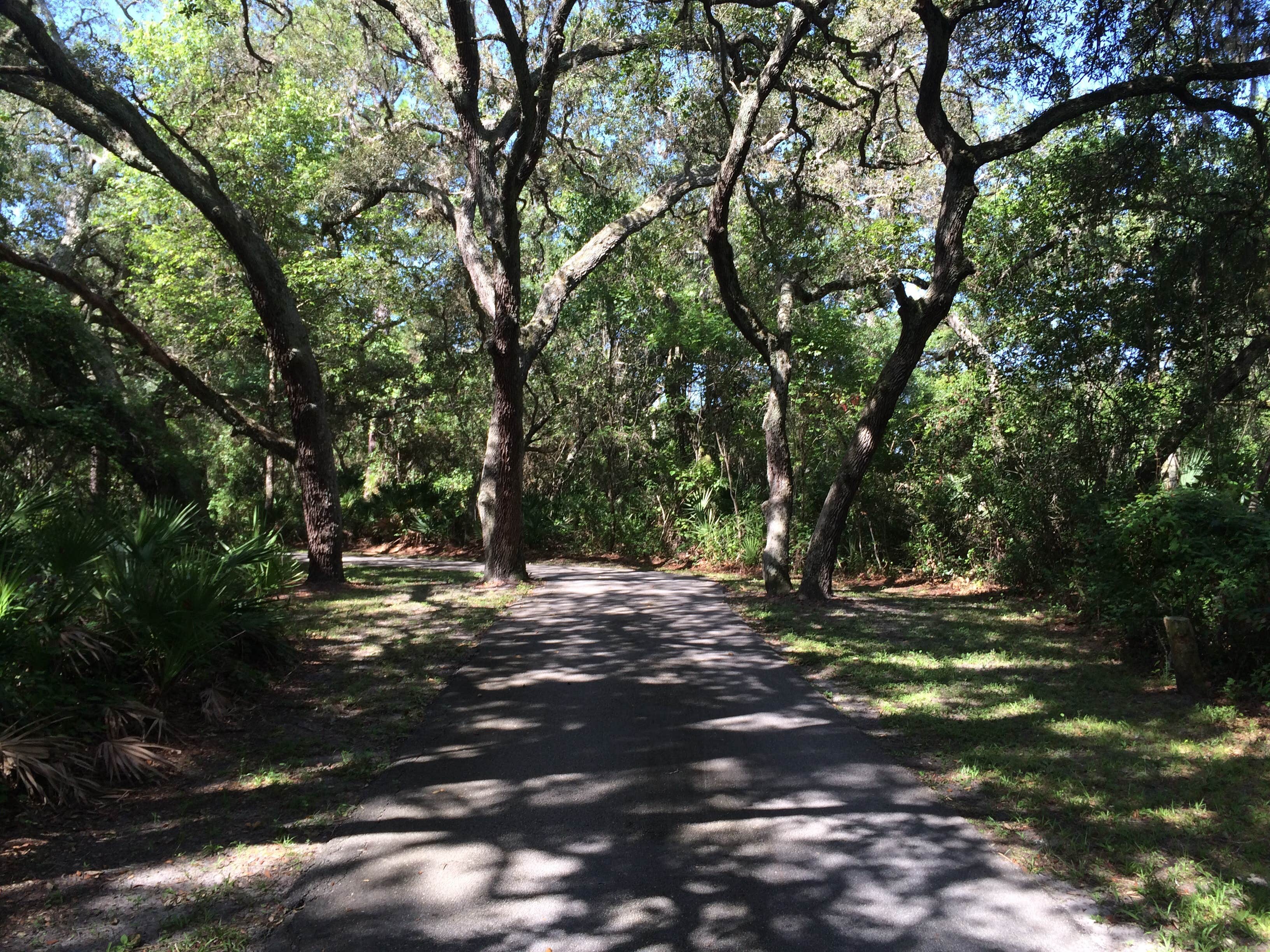 Lake Mills Park Camping Chuluota, FL