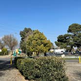 Review photo of Banning Stagecoach KOA by kelly N., March 16, 2022