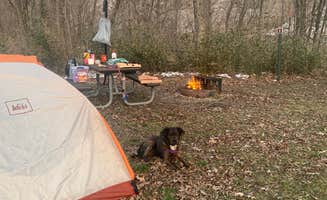 Kristin A.'s photo of camping with pets at Big Spring Campground — Ozark National Scenic Riverway near Ellington, MO