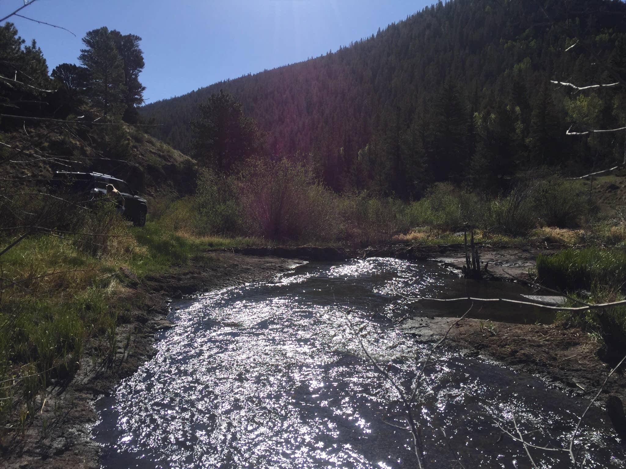 Camper submitted image from Marshall Pass - 4