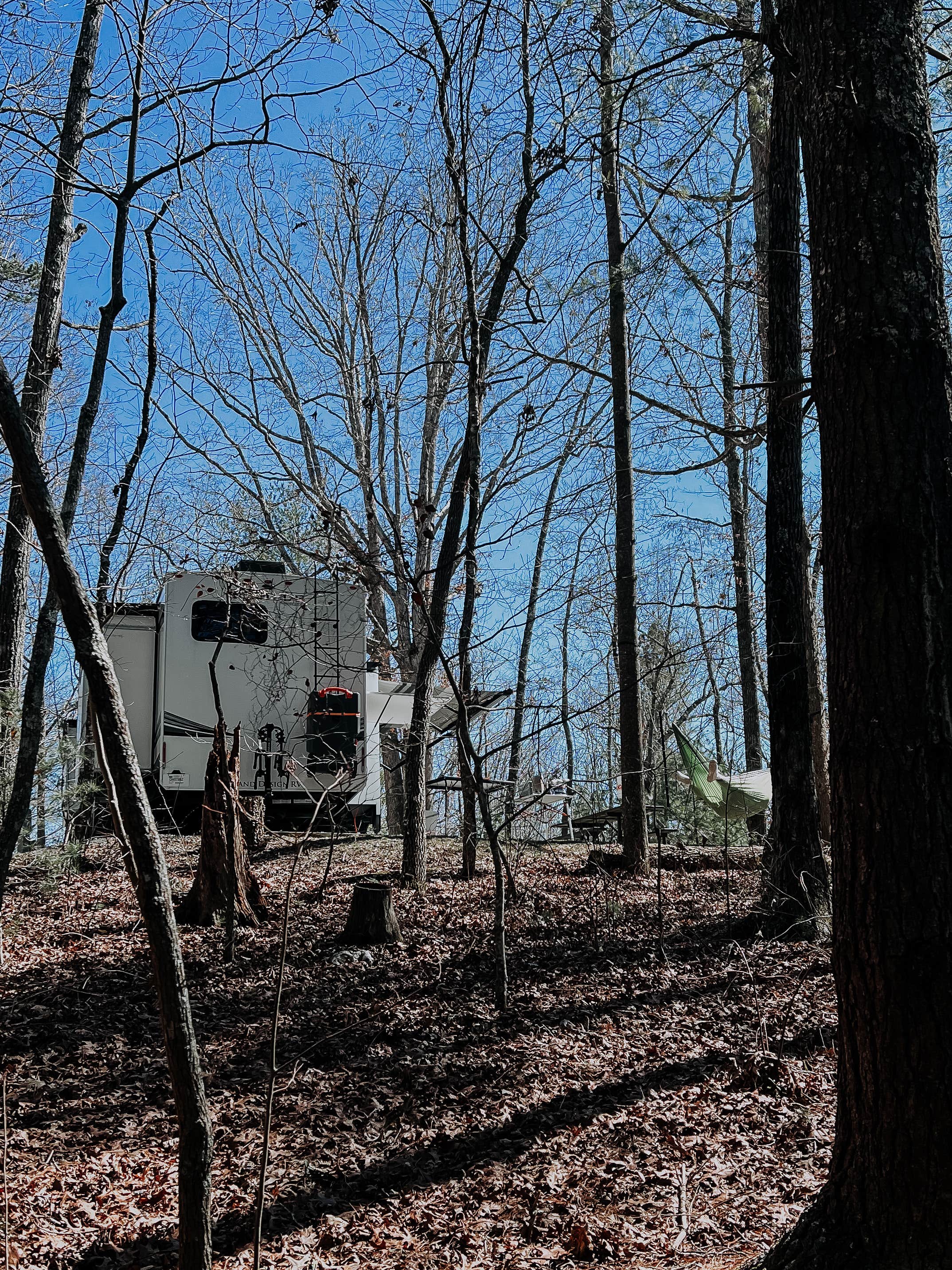 Meghan T.'s photo at Morganton Point Campground near Blue Ridge, GA