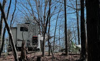Meghan T.'s photo at Morganton Point Campground near Copperhill, TN