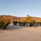 Review photo of Joshua Tree Lake RV & Campground by Rich J., March 17, 2022