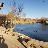 Review photo of Joshua Tree Lake RV & Campground by Rich J., March 17, 2022