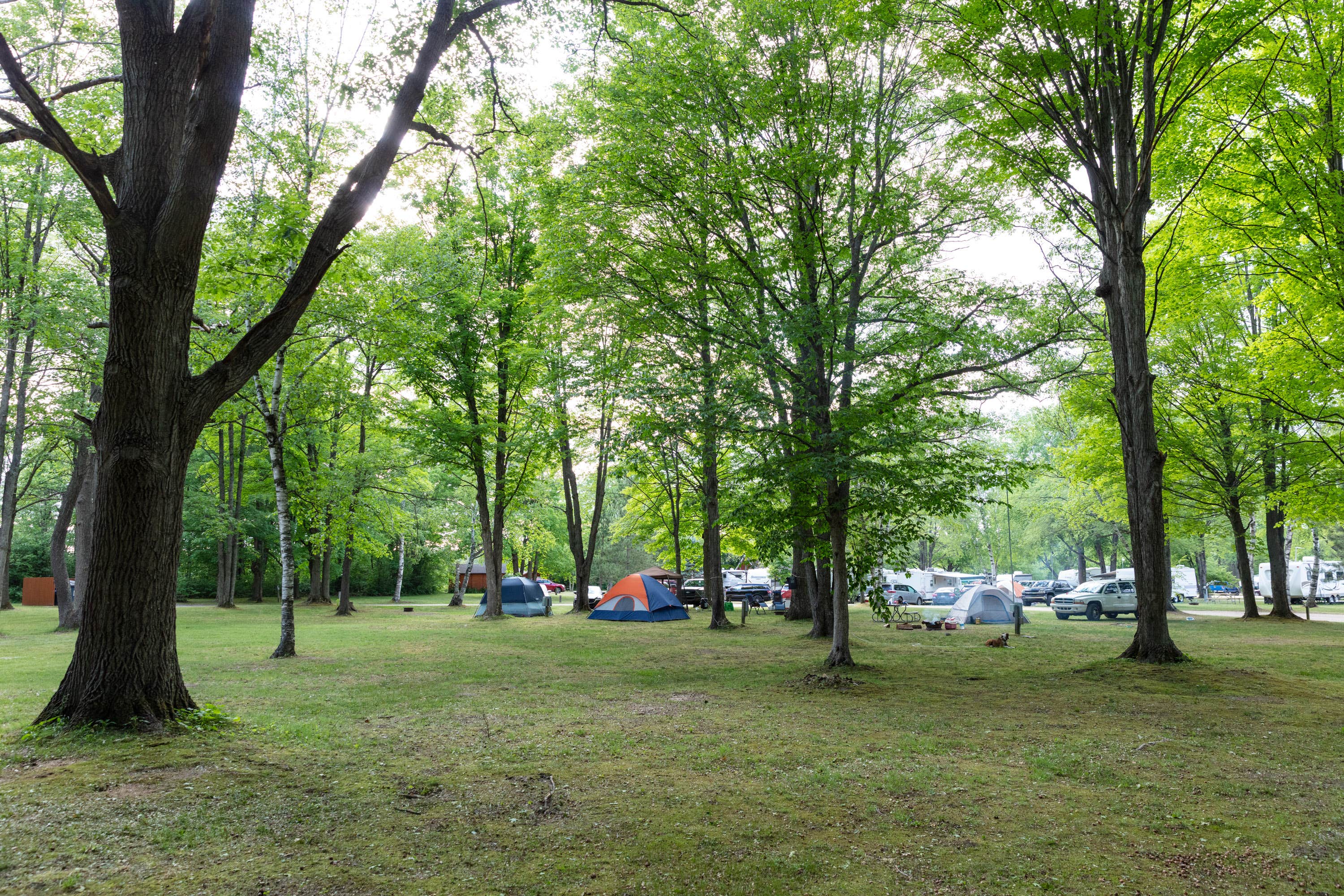 Camper-submitted photo at Rvino - Camp Cadillac, LLC near Lake City, MI