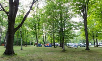 Camping near Birchwood Resort and campground: Rvino - Camp Cadillac, LLC, Cadillac, Michigan