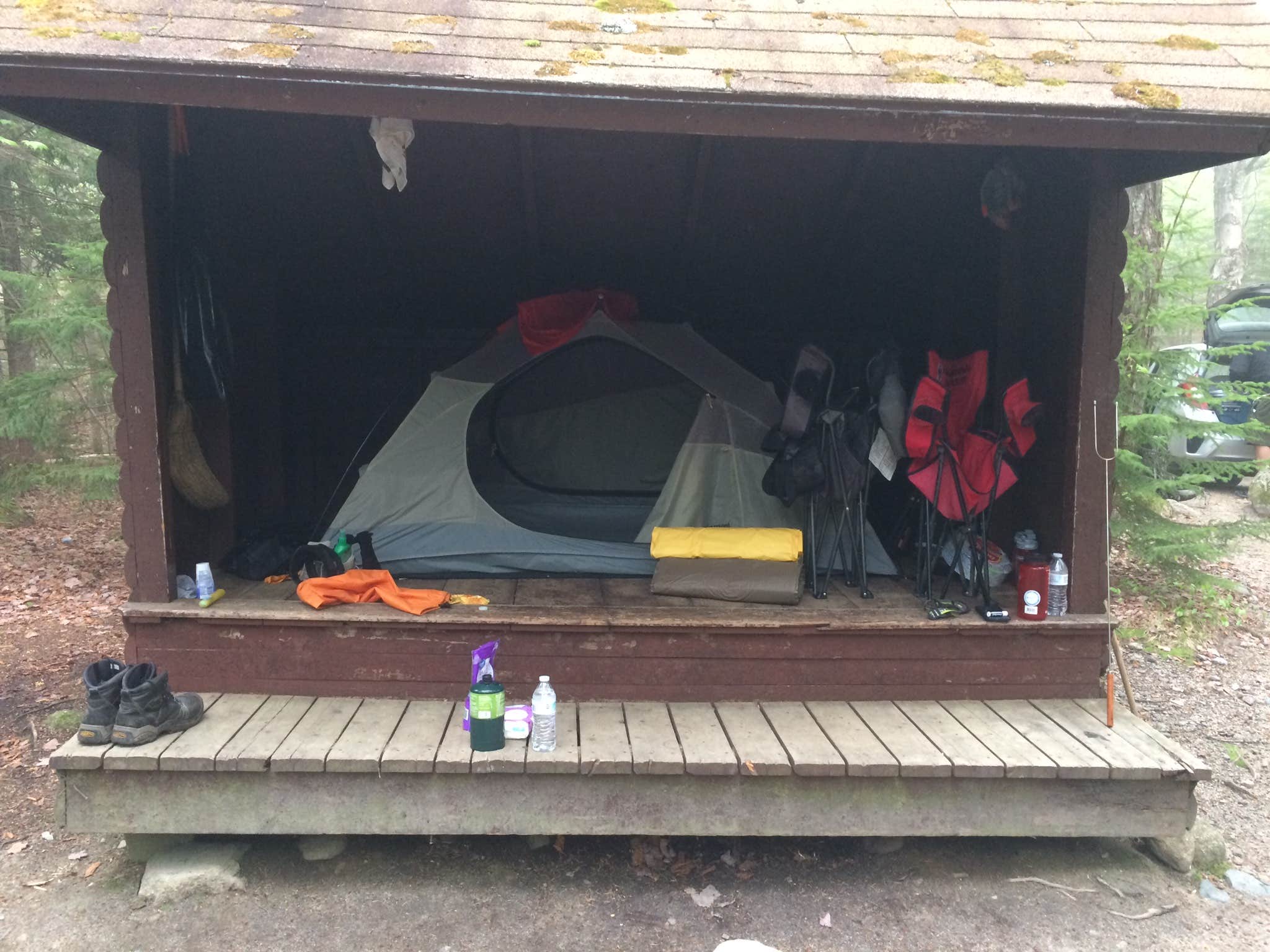 Kristin S.'s photo of camping with pets at Blackwoods Campground — Acadia National Park near Owls Head, ME