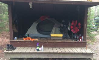 Kristin S.'s photo of camping with pets at Blackwoods Campground — Acadia National Park near Milbridge, ME