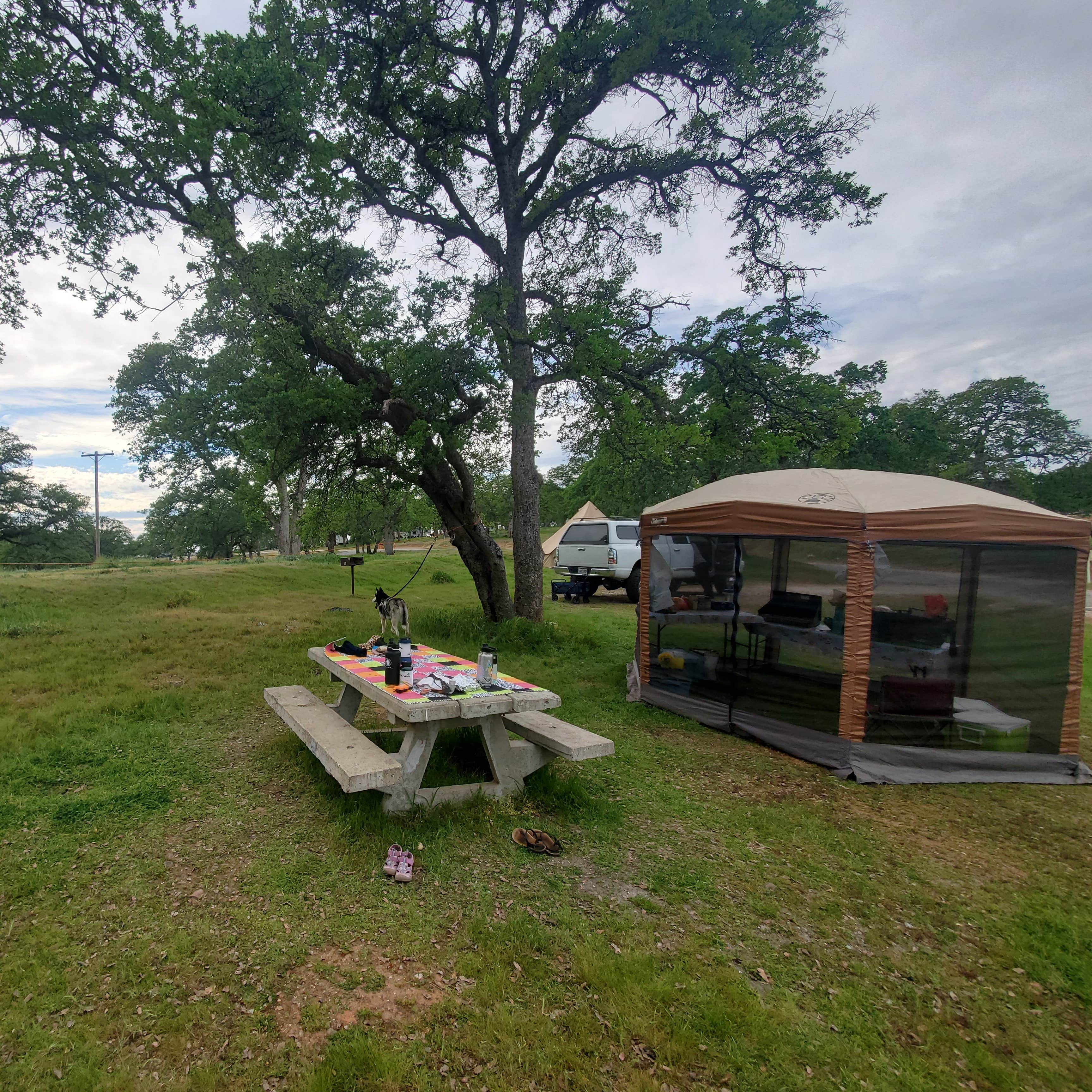 Camp Far West North Shore Wheatland, CA