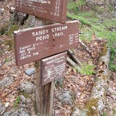 Review photo of Blackwoods Campground — Acadia National Park by Kristin S., July 11, 2018