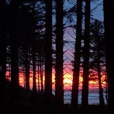 Review photo of Cape Lookout State Park Campground by Liesl K., July 11, 2018