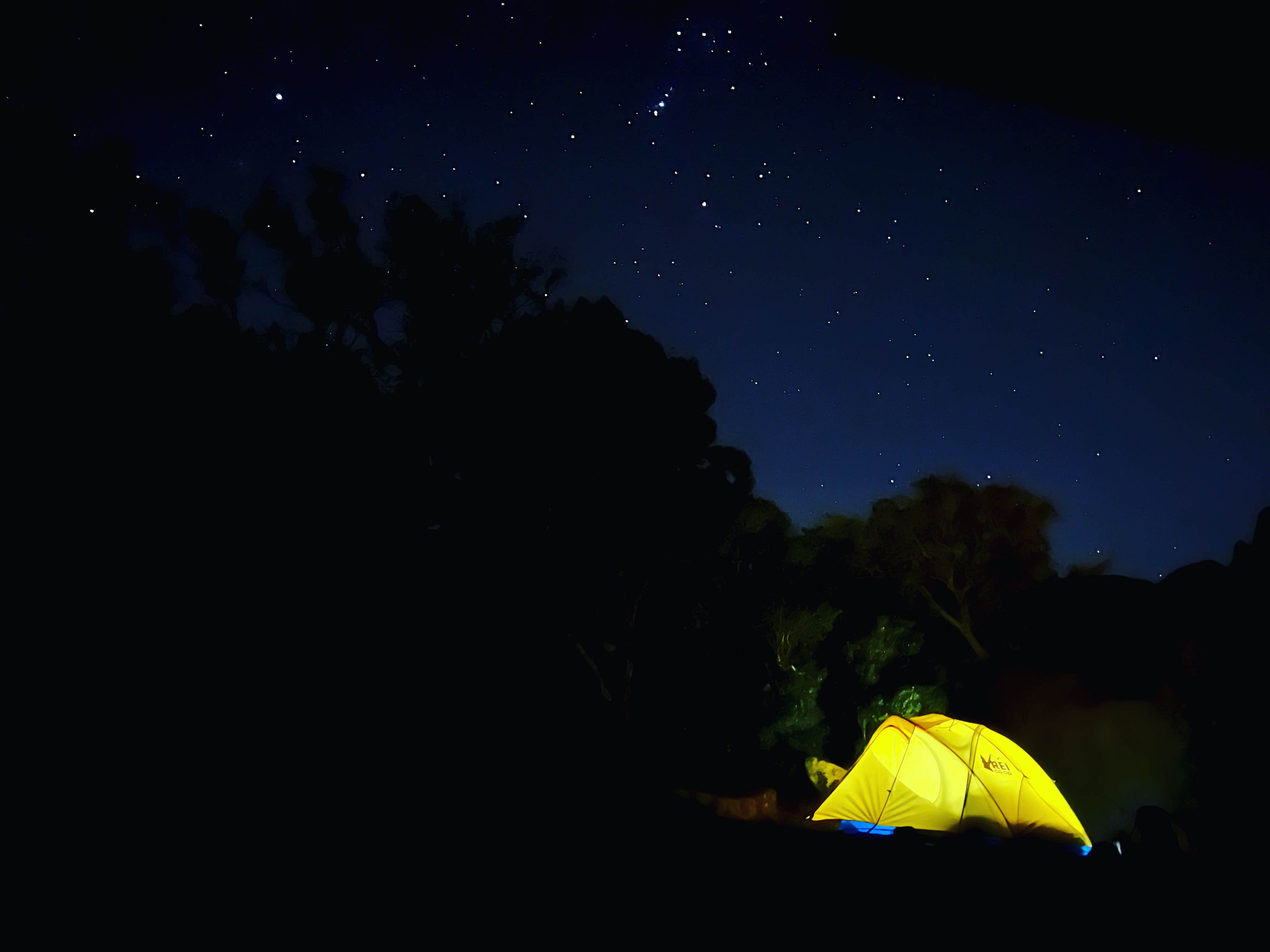 Taylor S.'s photo at Aguirre Spring Recreation Area and Campground near El Paso, TX