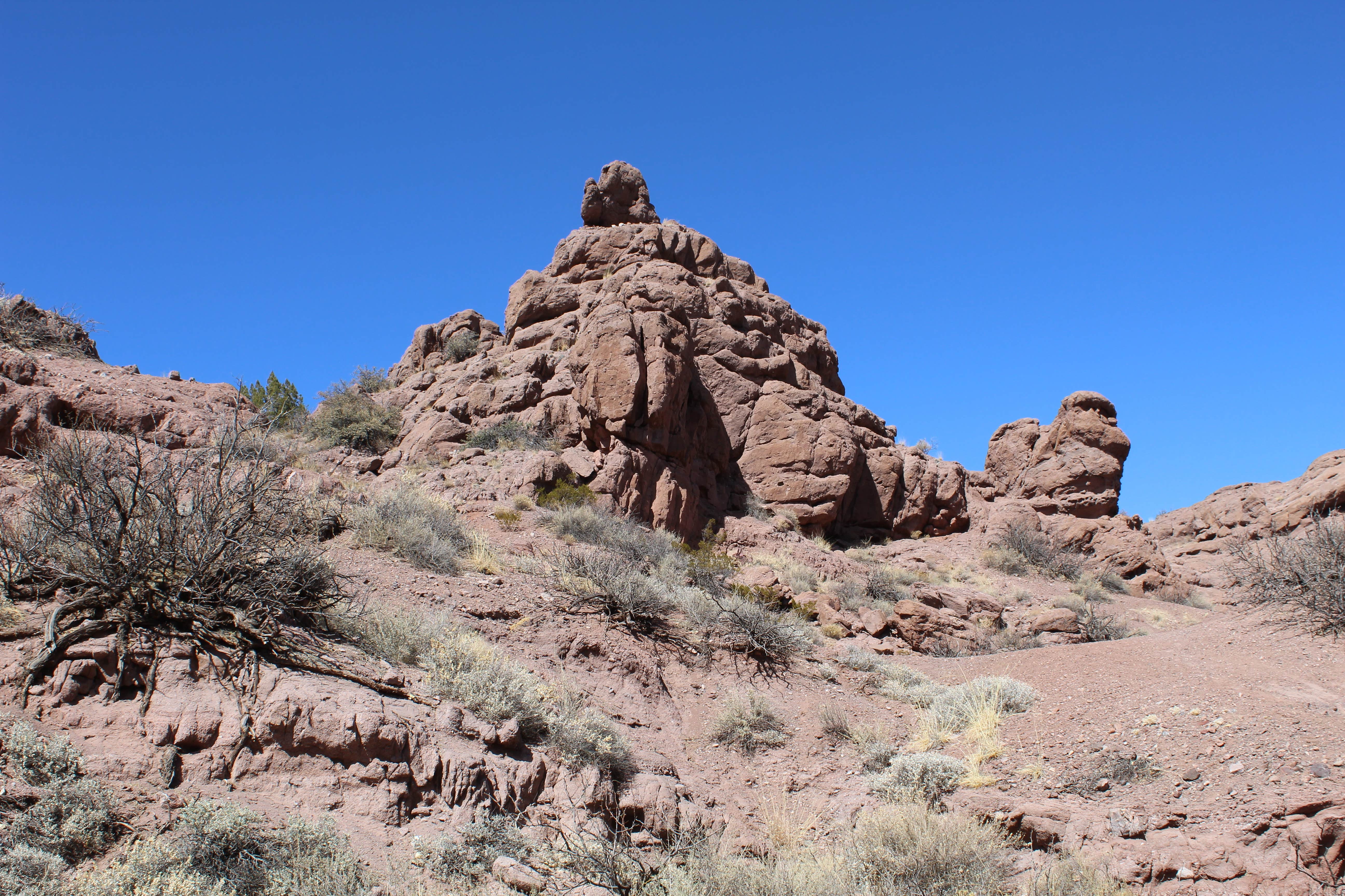 Camper submitted image from San Lorenzo Canyon - 2