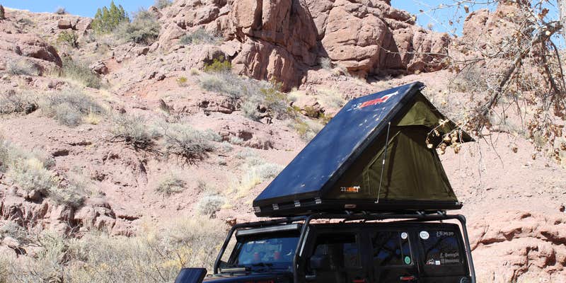 Camper submitted image from San Lorenzo Canyon