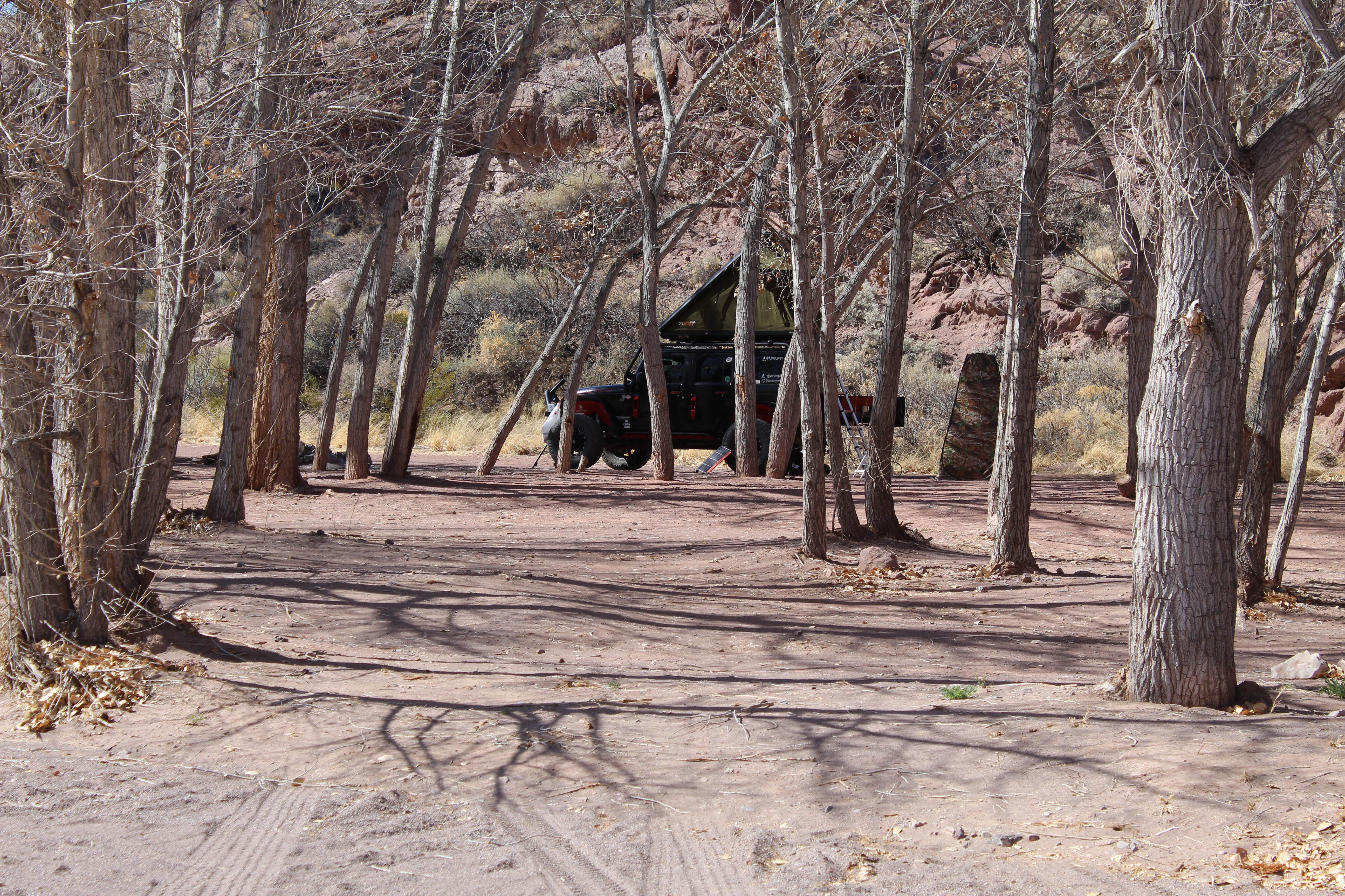 Camper submitted image from San Lorenzo Canyon - 4