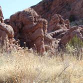 Review photo of San Lorenzo Canyon by Eric G., March 17, 2022