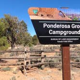 Review photo of Ponderosa Grove Campground by Larry E., March 18, 2022