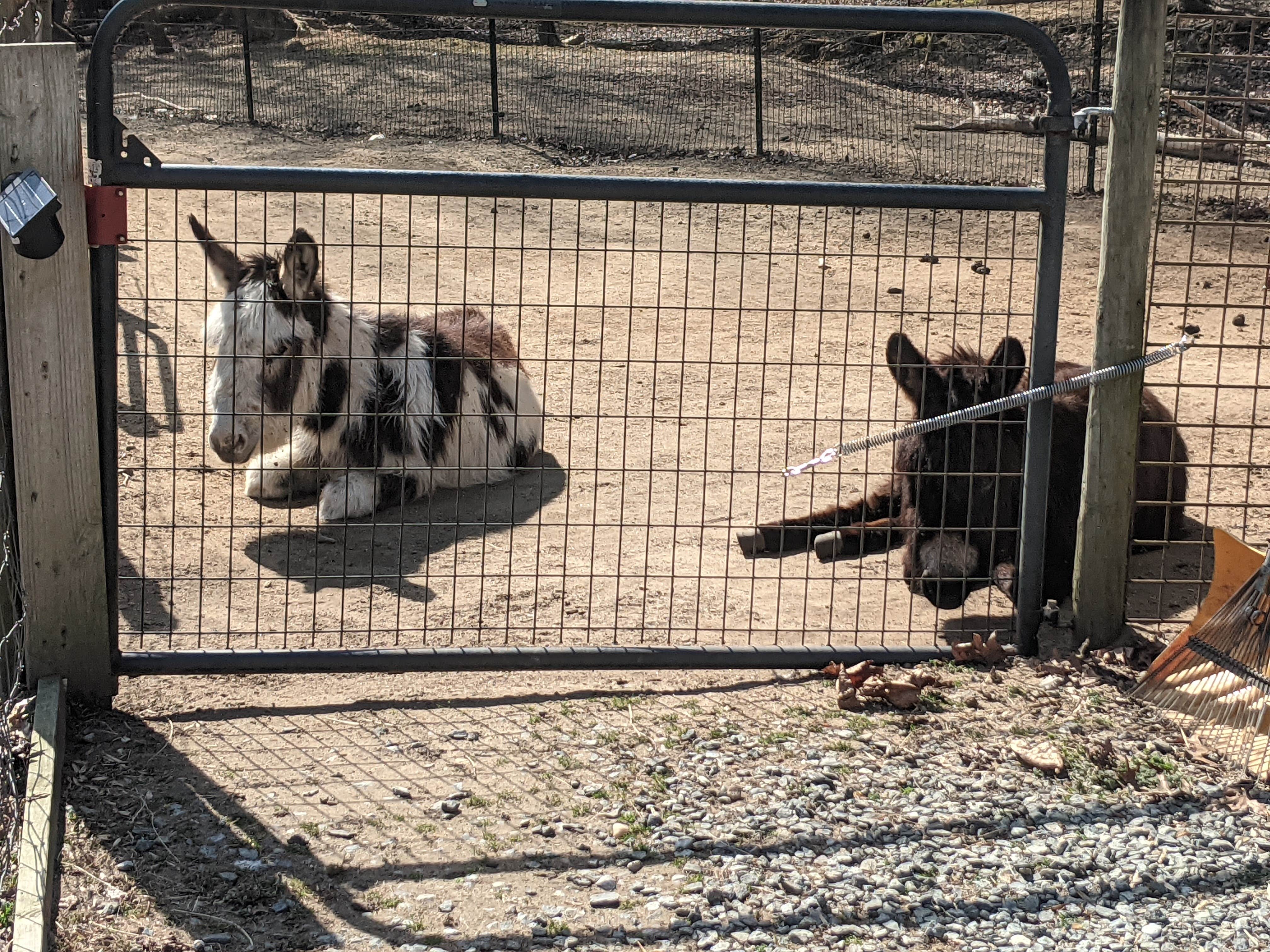 Camper submitted image from my friends farm - 2