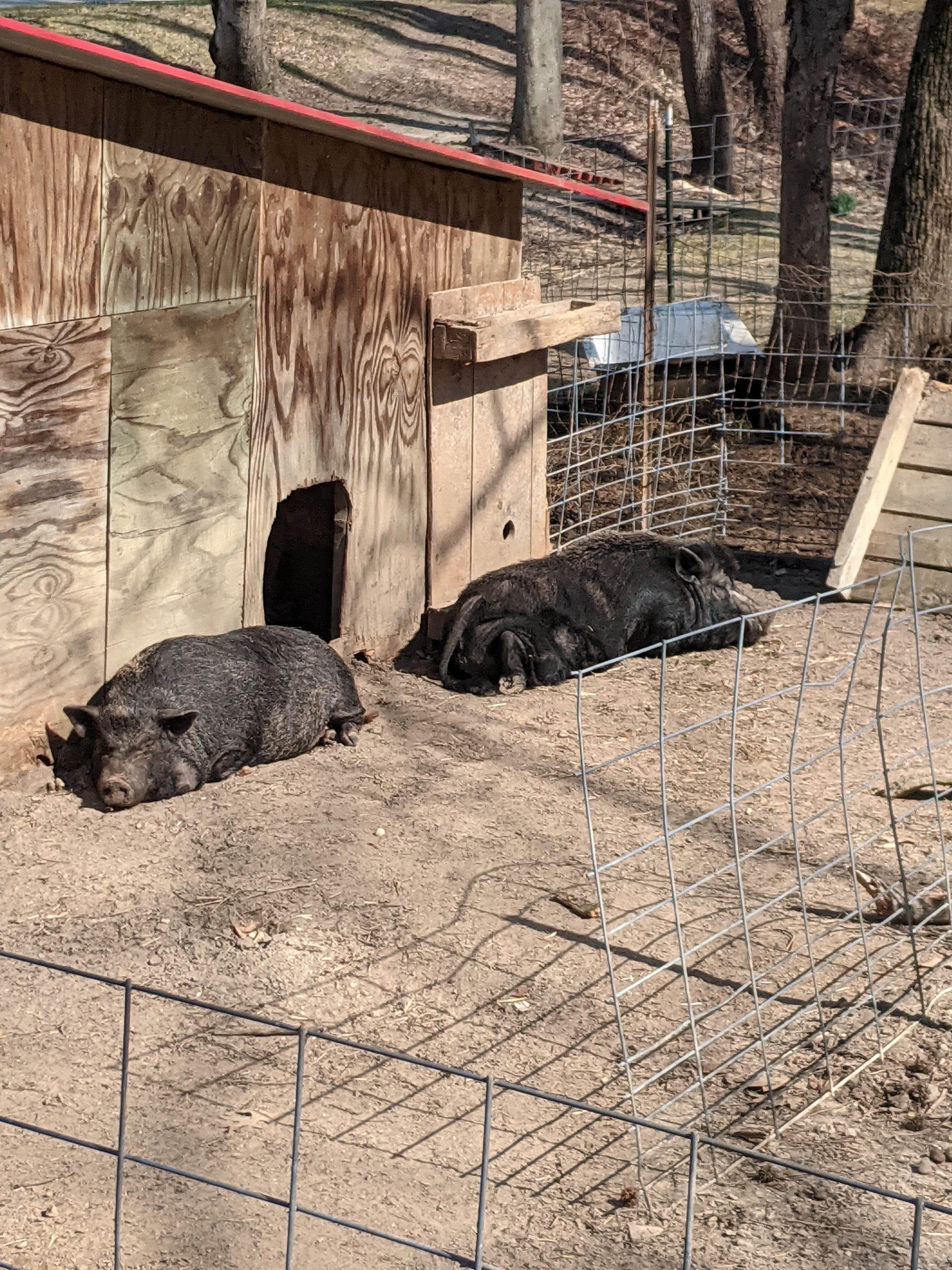 Camper-submitted photo at my friends farm near Holton, KS