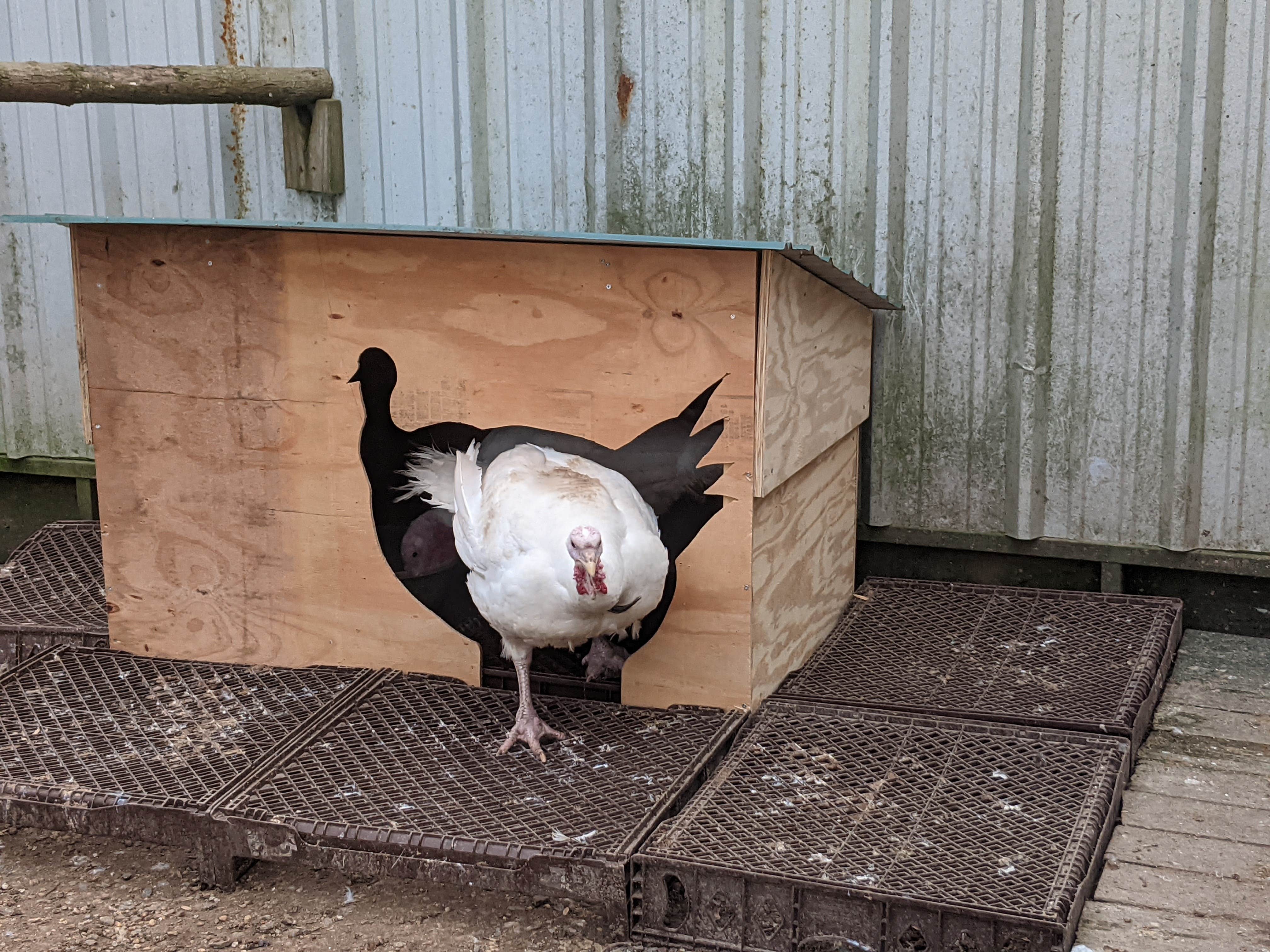 Camper-submitted photo at my friends farm near Holton, KS