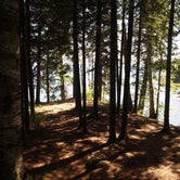 Review photo of Tettegouche State Park Campground by Sammi J., July 11, 2018
