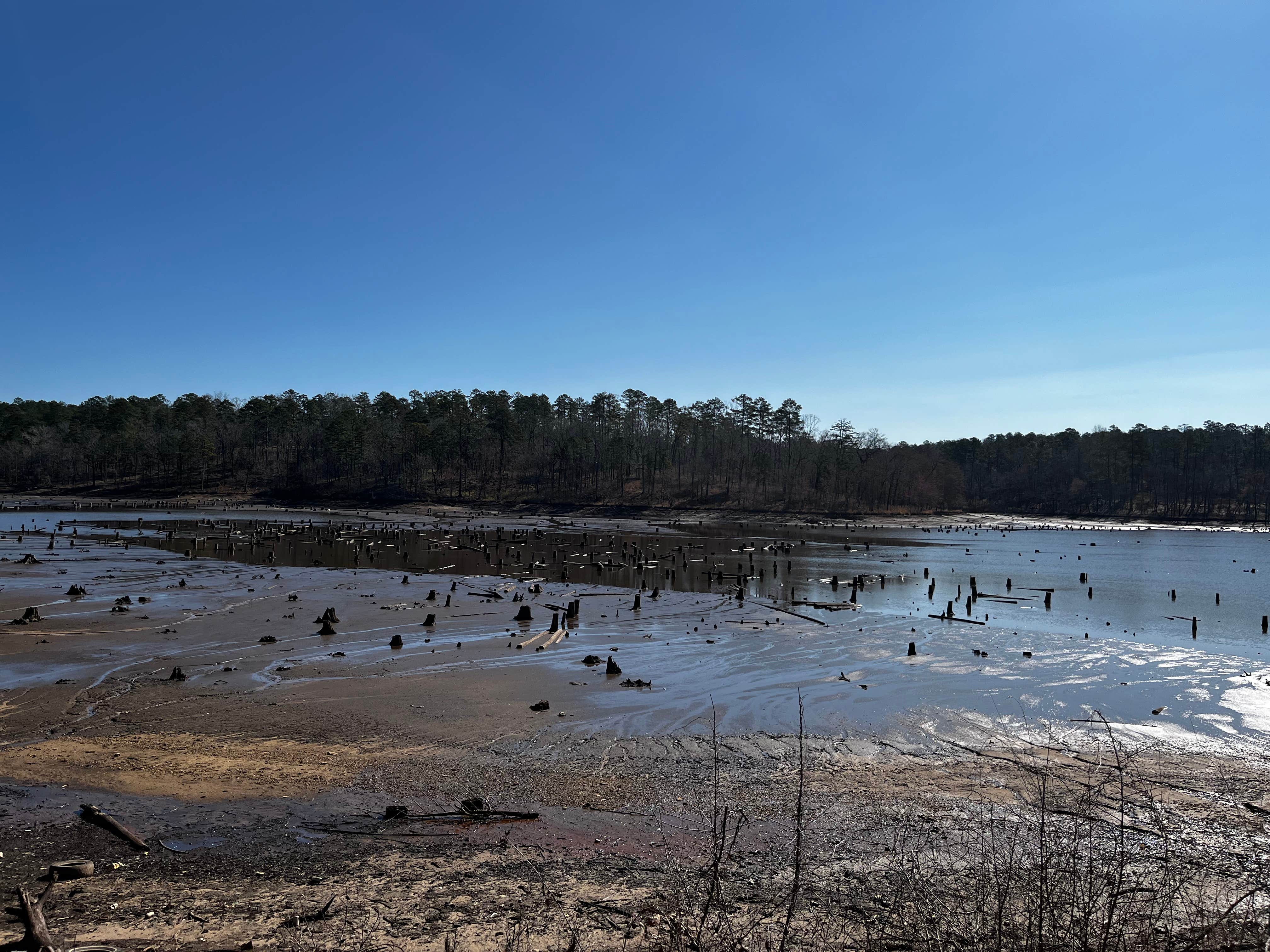 Camper-submitted photo at Payne Lake West Side near Marion Junction, AL