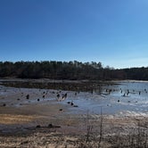 Review photo of Payne Lake West Side by Hannah W., March 18, 2022
