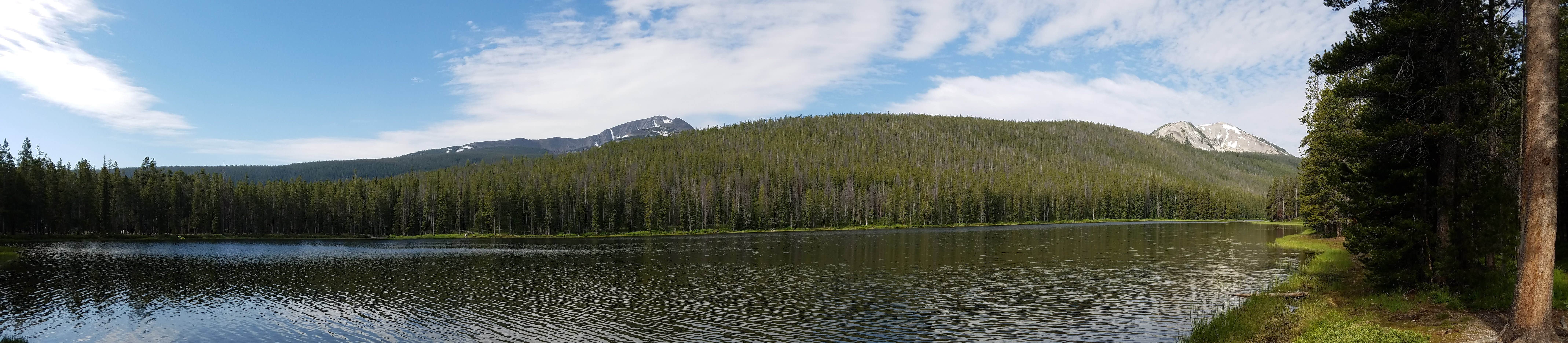 Nature