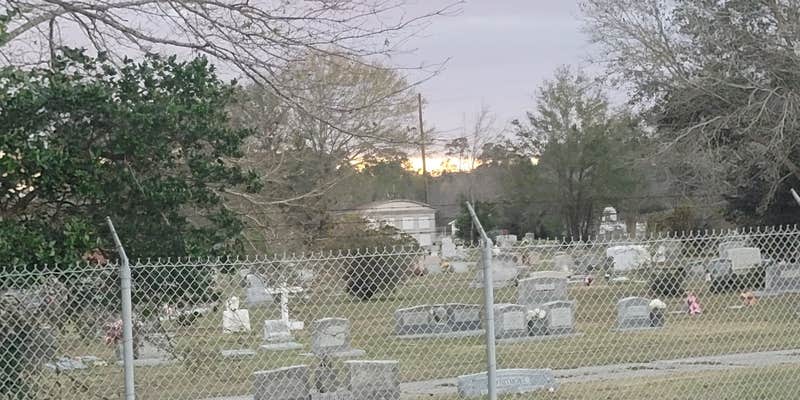 Camper submitted image from Shields RV Park