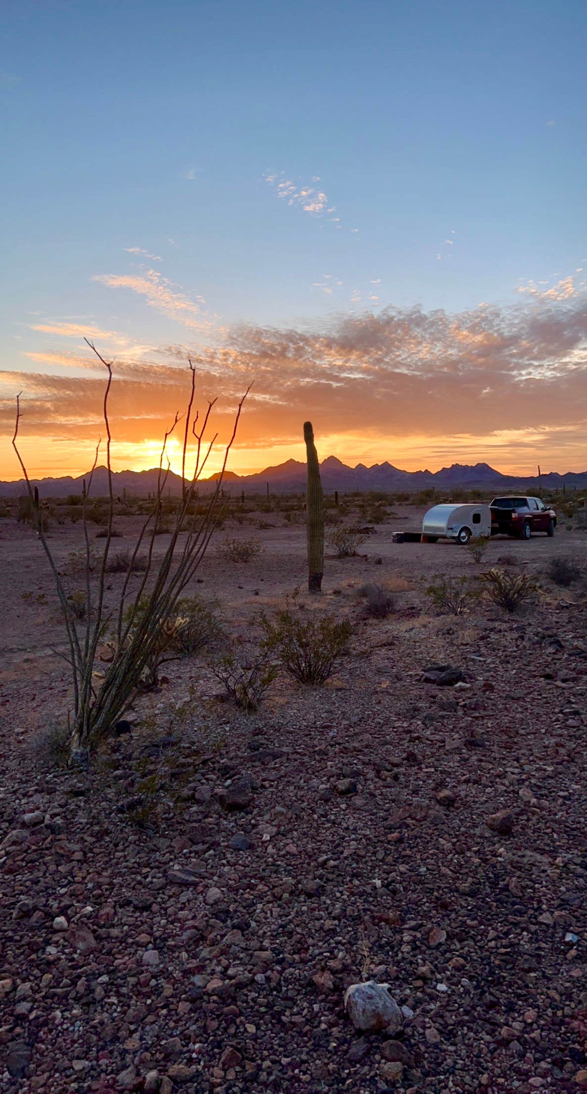 Jeffrey F.'s photo at KOFA National Wildlife Refuge - King Valley Road near Wellton, AZ