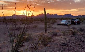 Jeffrey F.'s photo at KOFA National Wildlife Refuge - King Valley Road near Winterhaven, CA