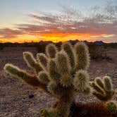 Review photo of KOFA National Wildlife Refuge - King Valley Road by Jeffrey F., March 18, 2022