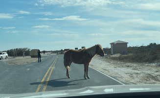 Cam R.'s photo of camping with a horse at Bayside Assateague Campground — Assateague Island National Seashore near Tangier, VA