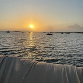 Review photo of Boyd's Key West Campground by Michelle M., March 18, 2022