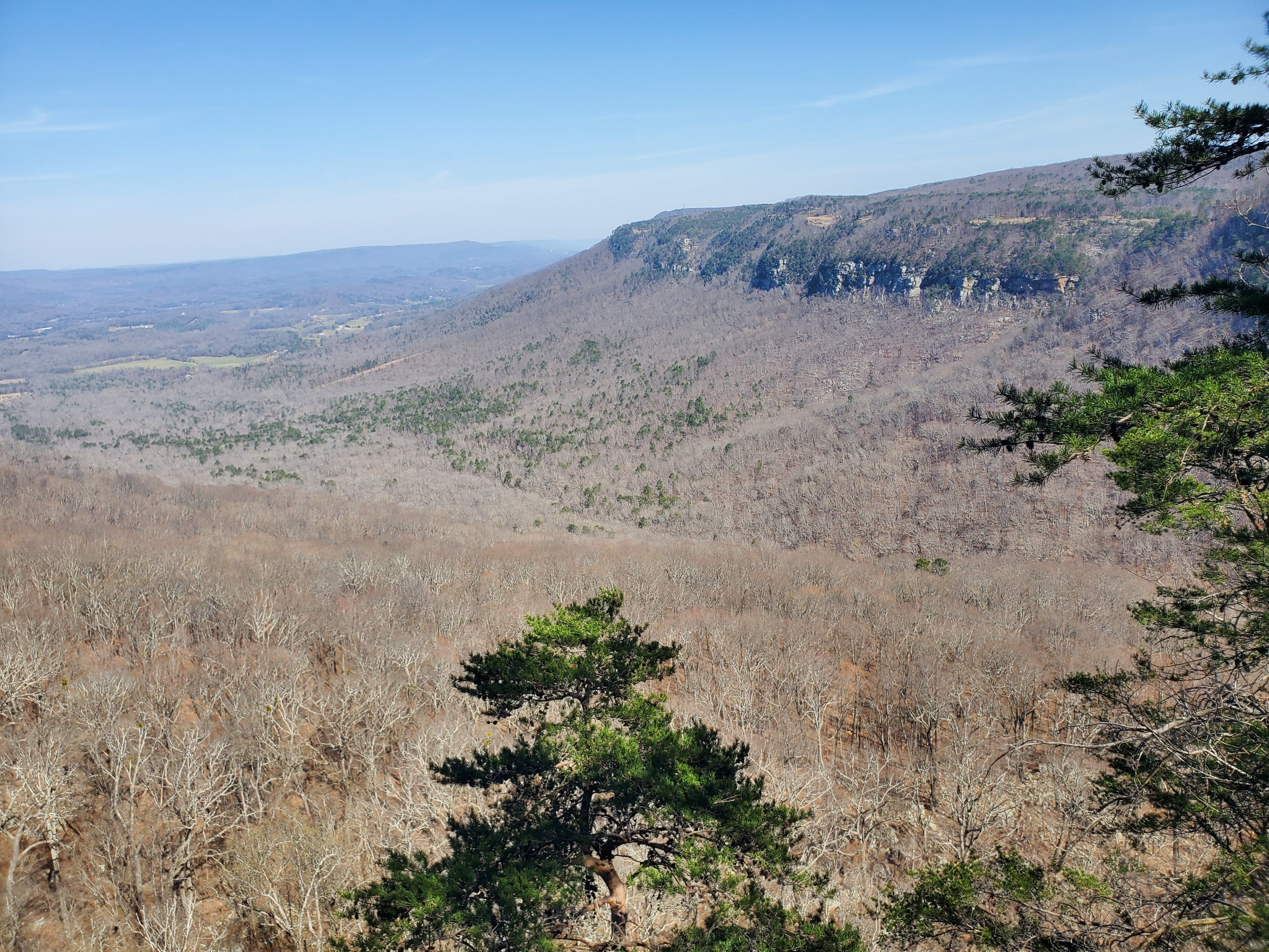 Camper submitted image from Cloudland Canyon State Park - Walk-in Sites - 1