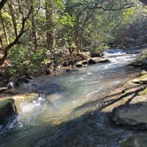 Review photo of Cloudland Canyon State Park - Walk-in Sites by Tony B., March 18, 2022