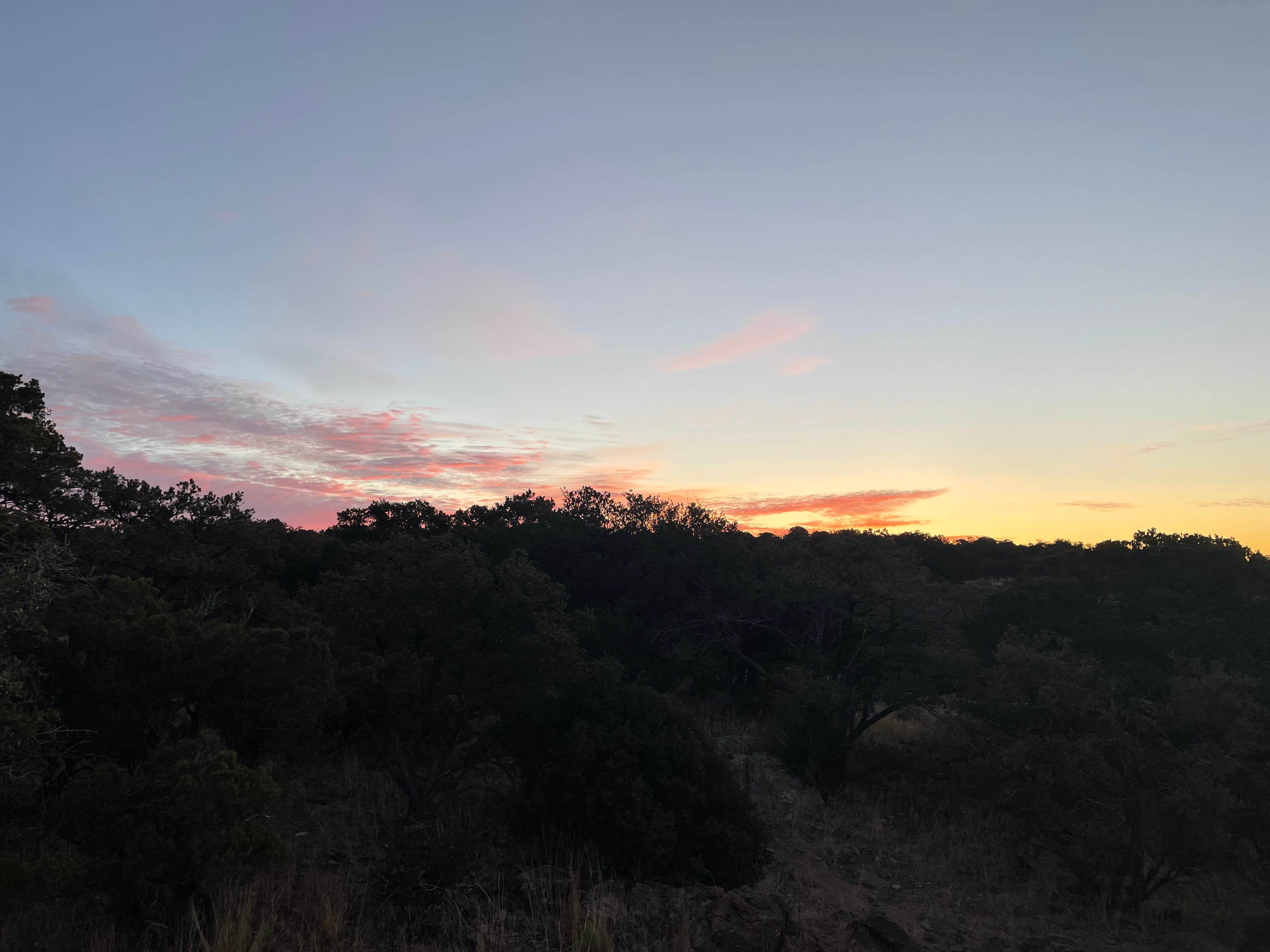 Al L.'s photo of a dispersed camping area at Upper Juniper Flats Road near Sierra Vista, AZ