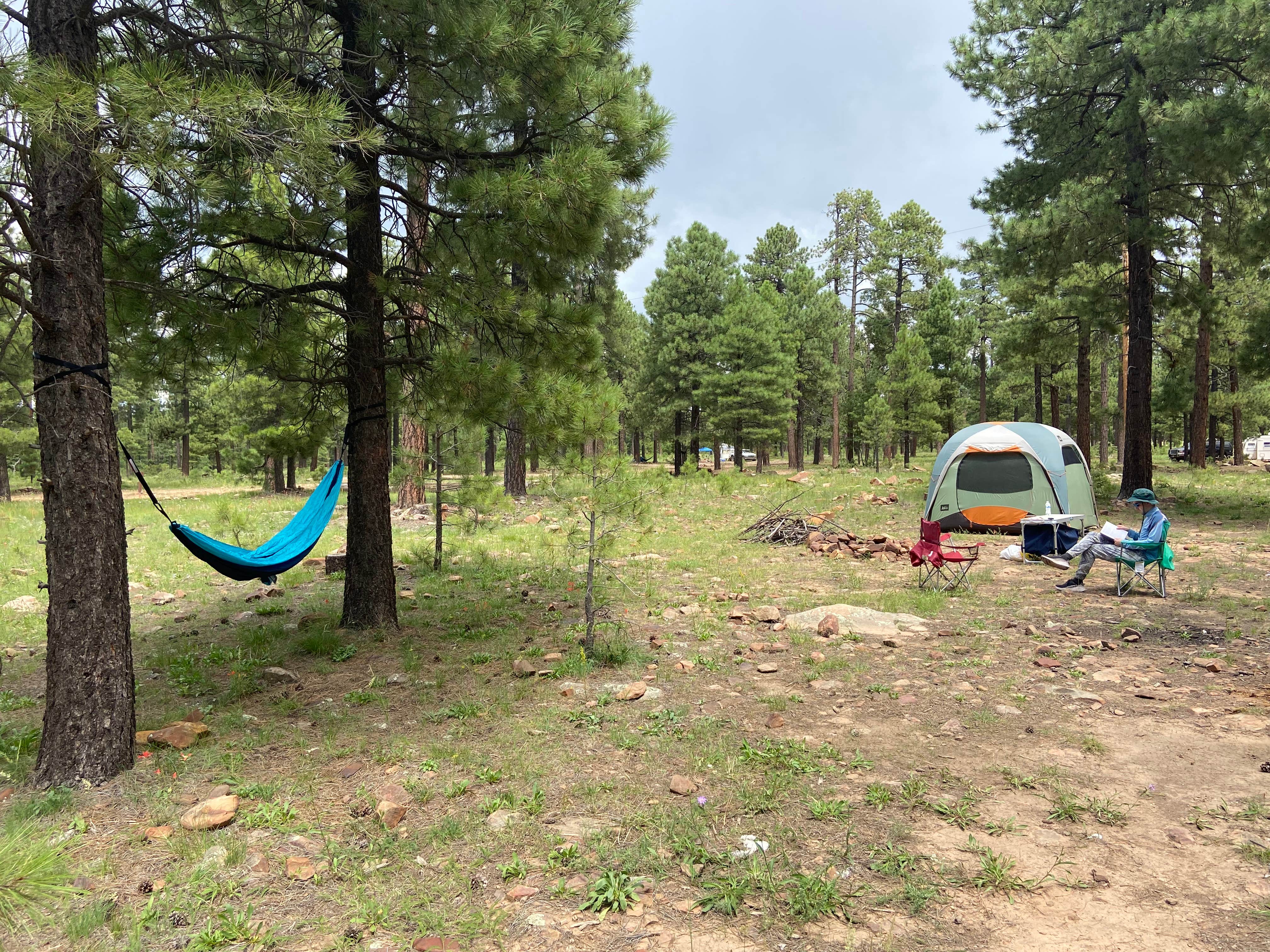 Garrett P.'s photo at Fr 171 Campground near Young, AZ